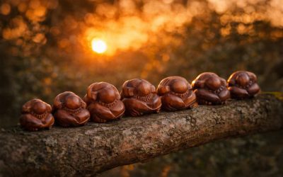 Van hoofd naar lichaam